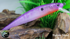 Purple Shad