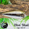 Olive Shad (5")