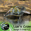 Liar's Craw