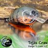 Tejas Craw