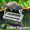 Green Pumpkin