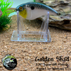 Golden Shad
