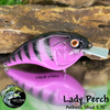 Lady Perch