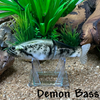 Demon Bass