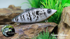 Silver Shiner