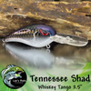 Tennessee Shad