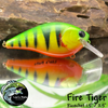 Fire Tiger