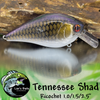 Tennessee Shad