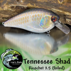Tennessee Shad (foiled)