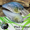 Black Crappie