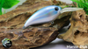 Marine Blue
