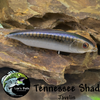 Tennessee Shad (3")