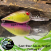 Root Beer Green Pepper (3.5")