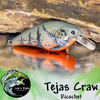 Tejas Craw