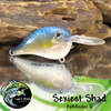 Sexiest Shad