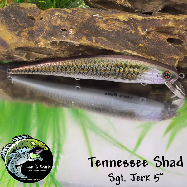 Tennessee Shad