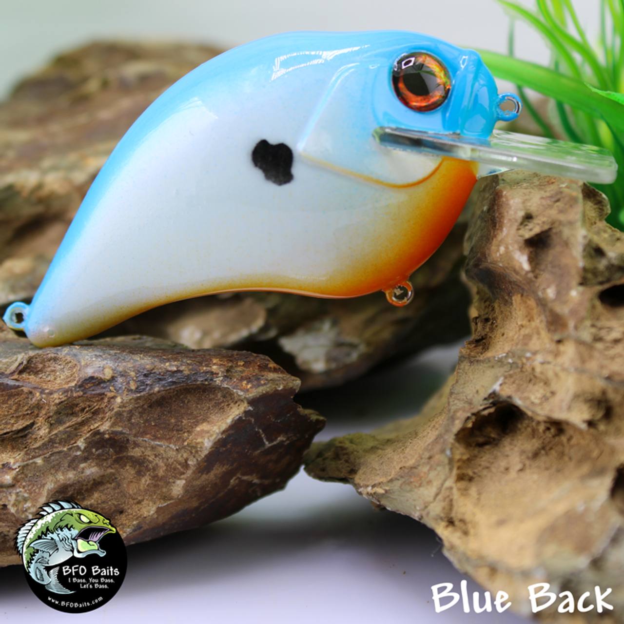 Blue Back