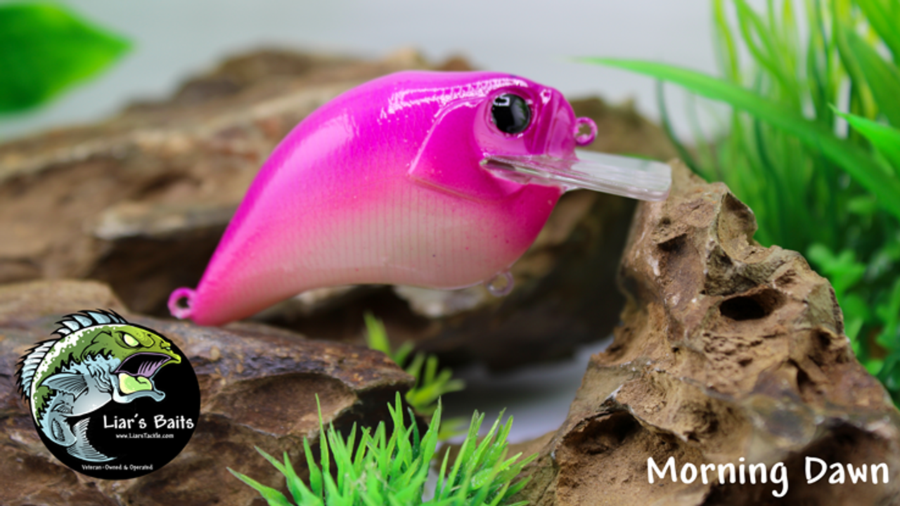 Morning Dawn Morning Dawn