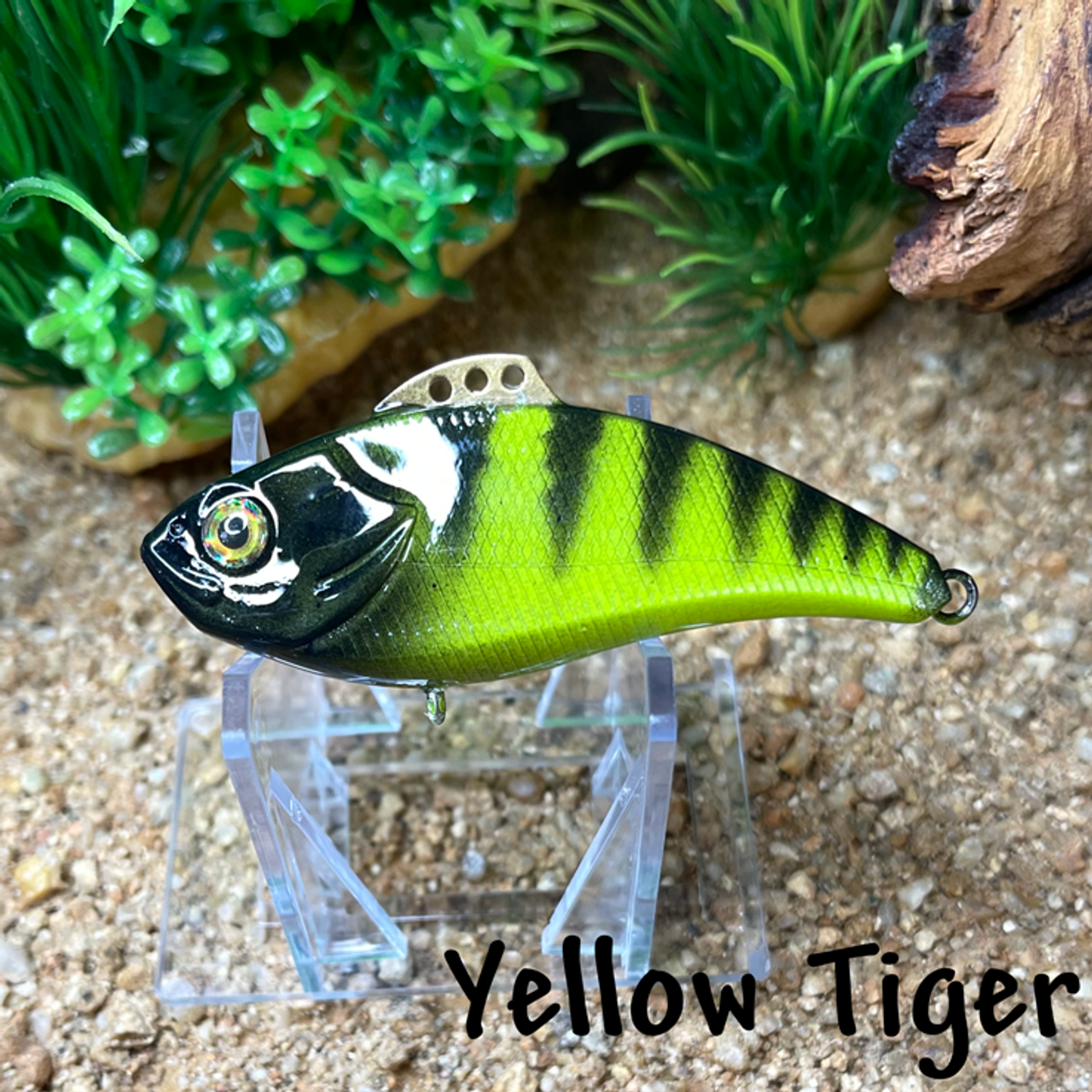 Green Tiger Green Tiger