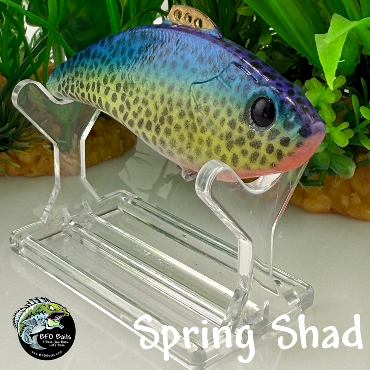 Spring Shad