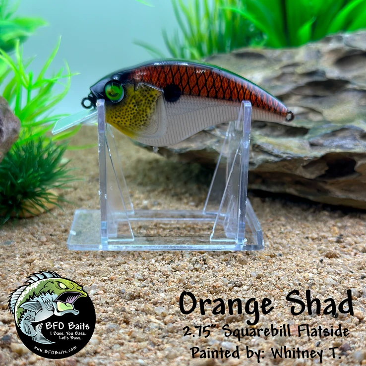 Orange Shad