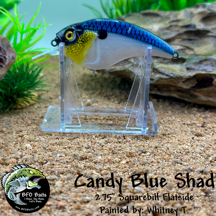 Candy Blue Shad
