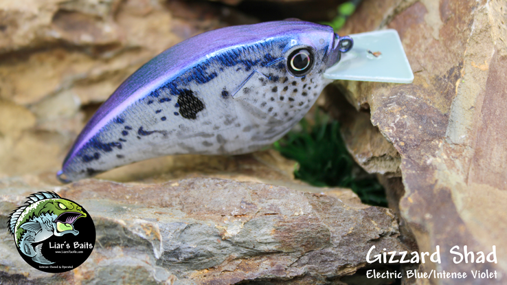 Gizzard Shad (Electric Blue/Intense Violet)
