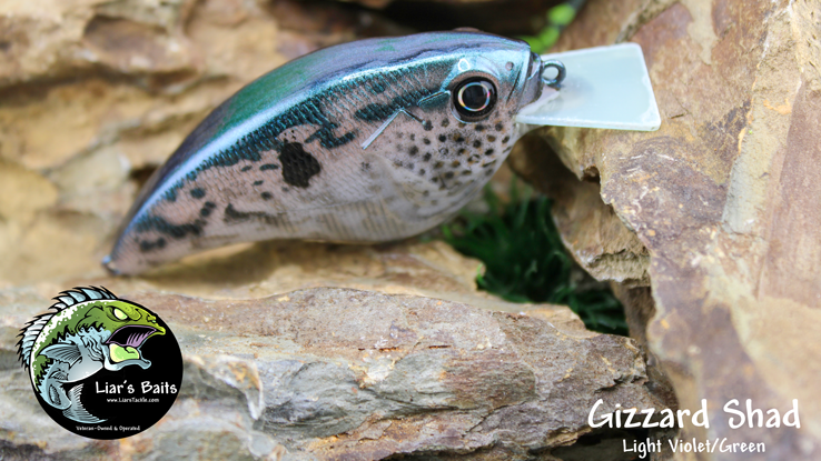 Gizzard Shad (Light Violet/Green)