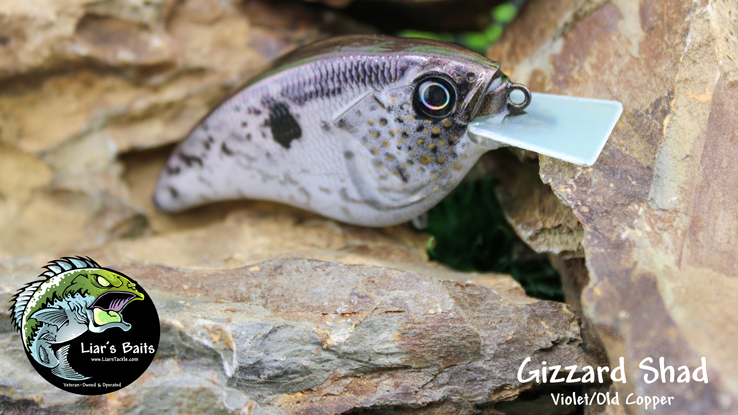 Gizzard Shad (Violet/Old Copper)