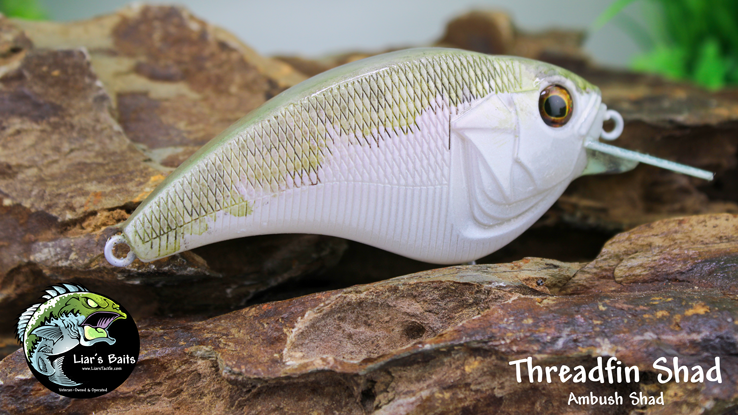 Threadfin Shad