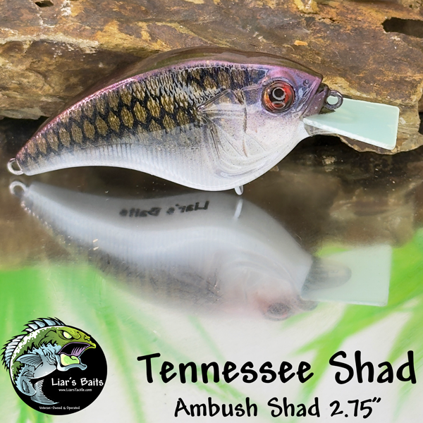 Tennessee Shad
