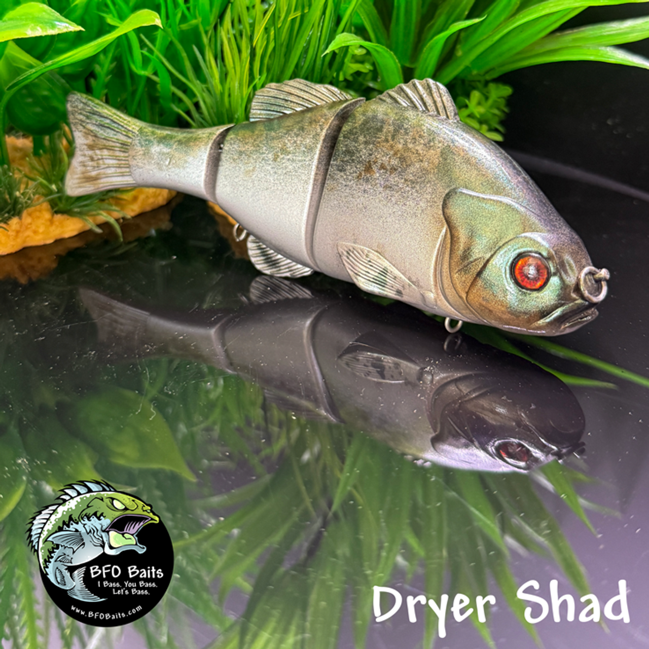 Dryer Shad