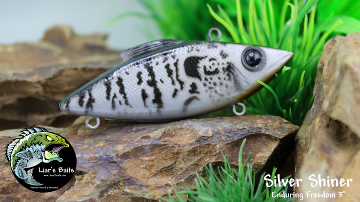 Silver Shiner