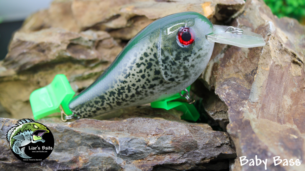 Baby Bass