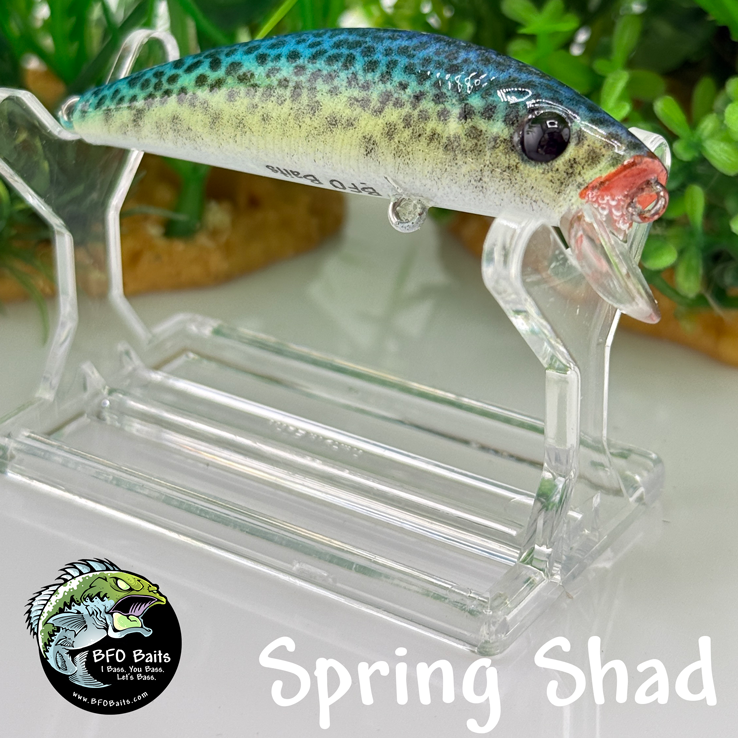 Spring Shad