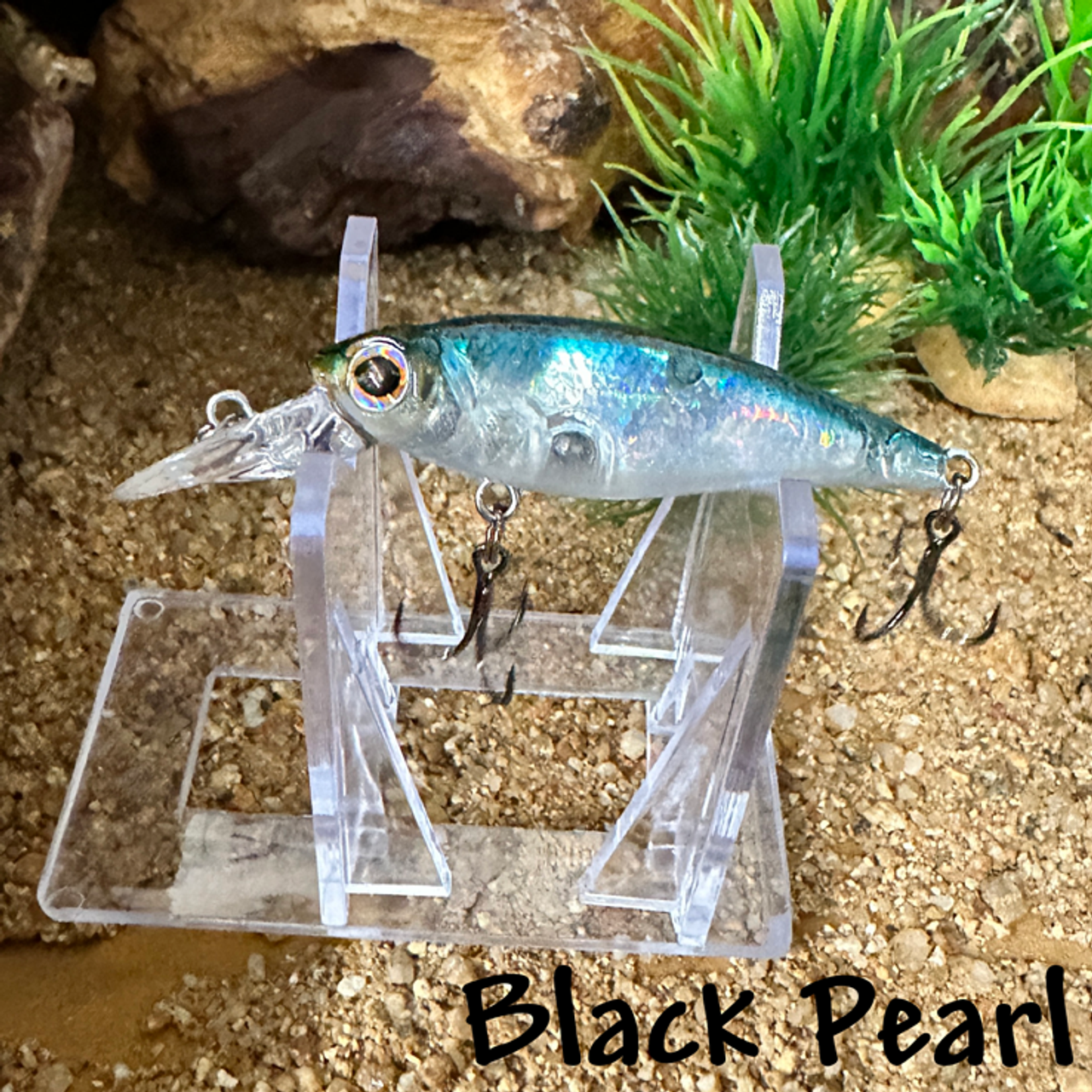 Black Pearl Black Pearl