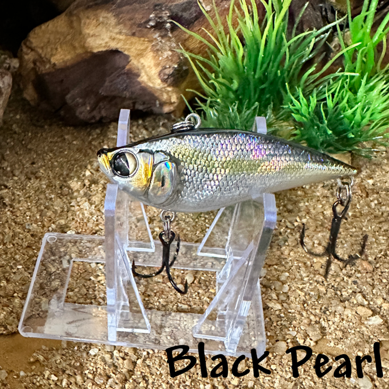 Black Pearl Black Pearl