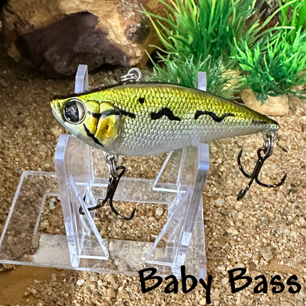 Baby Bass Baby Bass