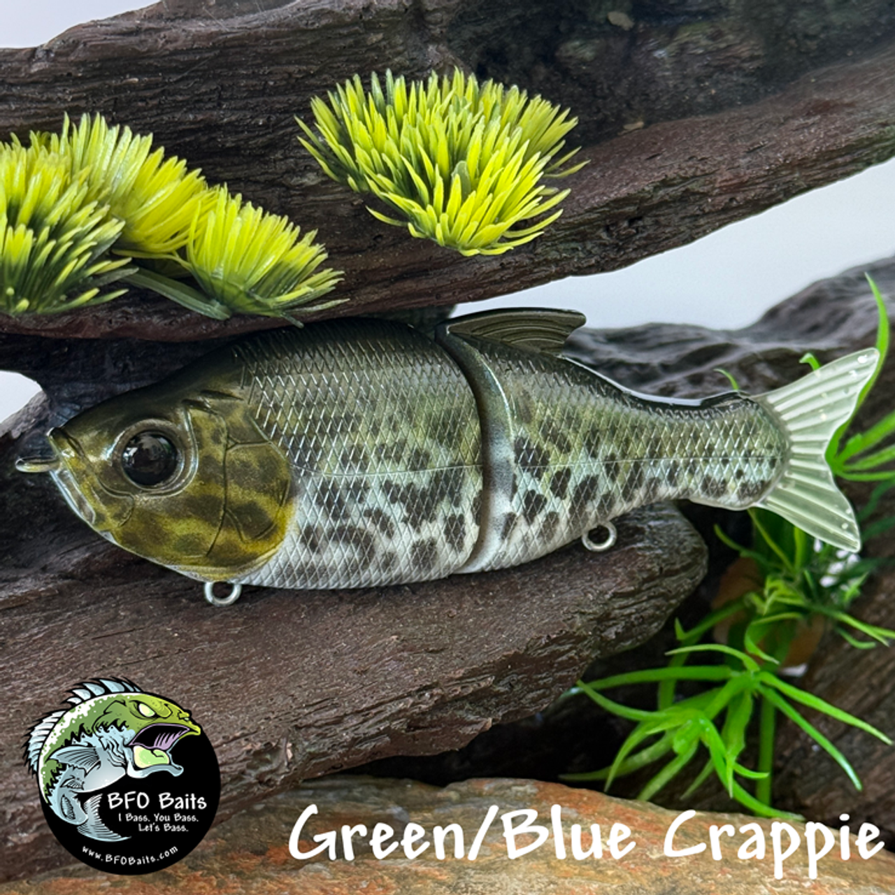 Green/Blue Crappie