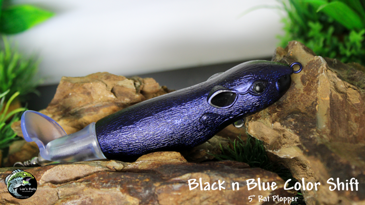 Black n Blue Color Shift Black n Blue Color Shift