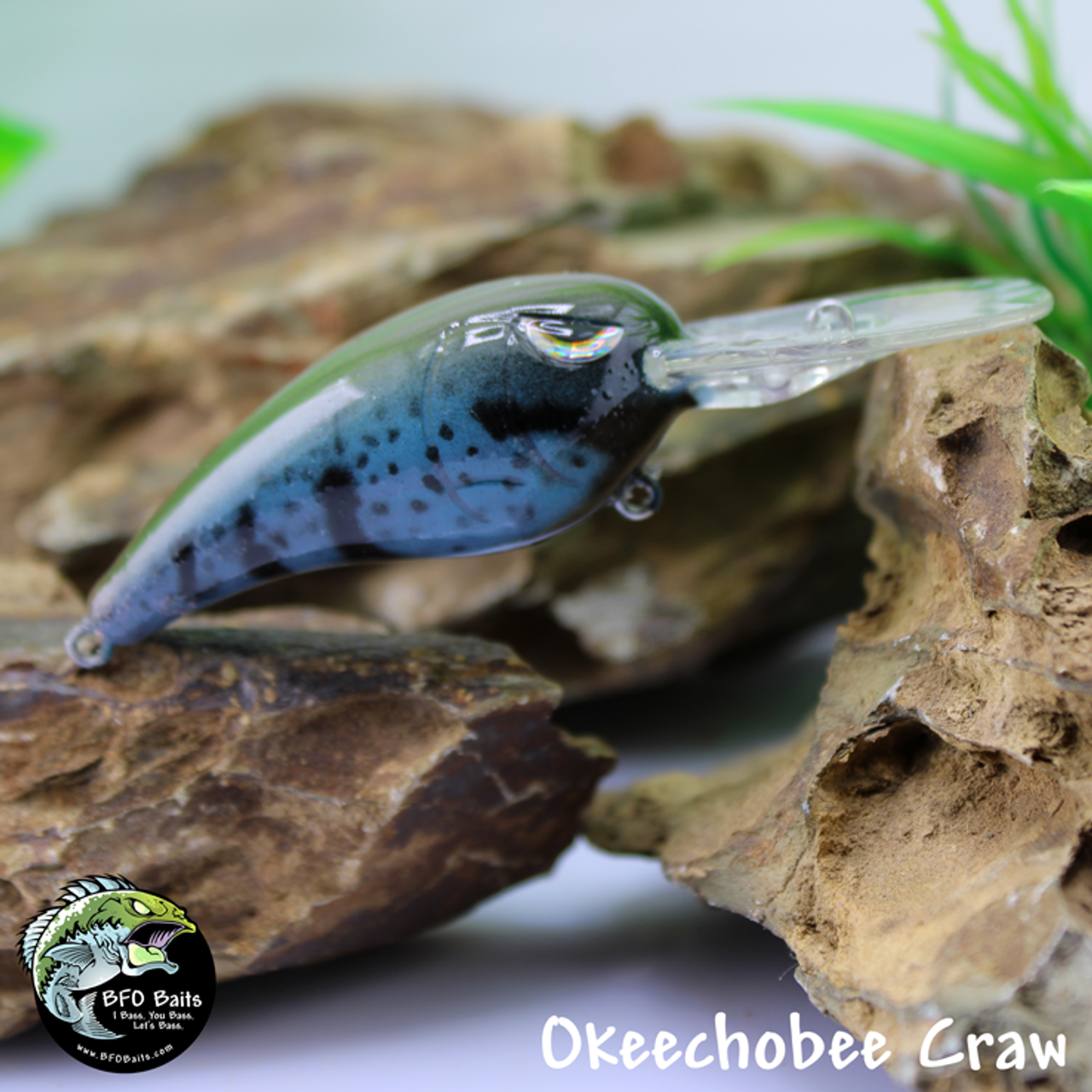 Okeechobee Craw Okeechobee Craw