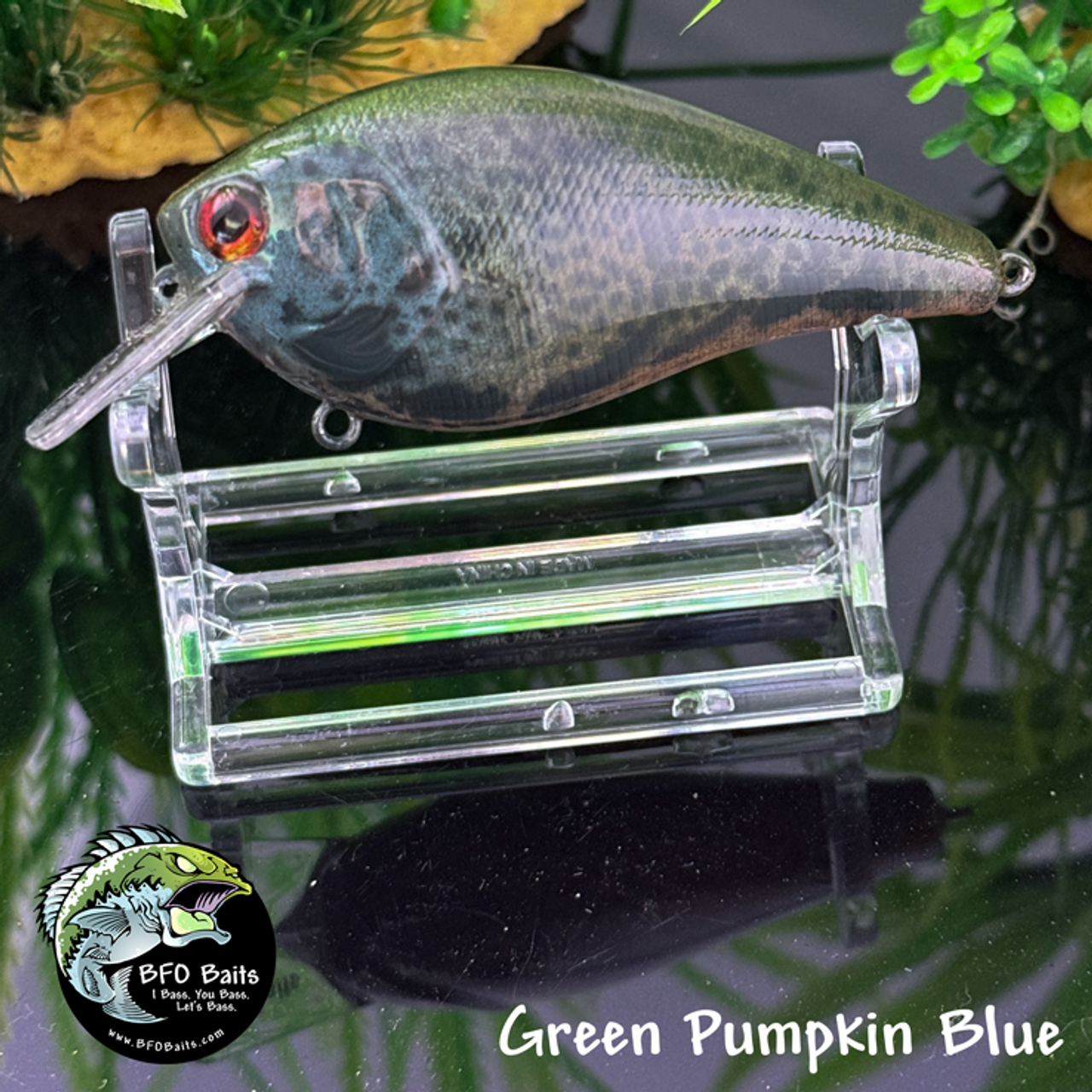 Green Pumpkin Blue Green Pumpkin Blue