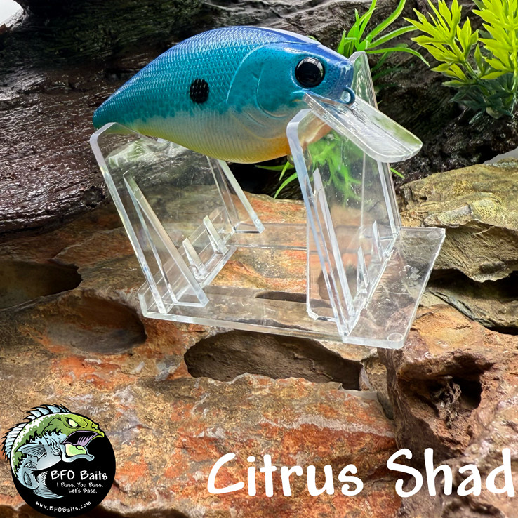 Citrus Shad