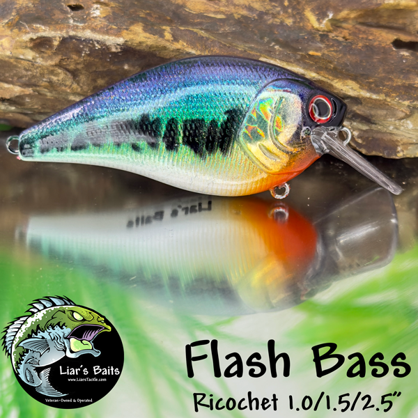 Flash Bass