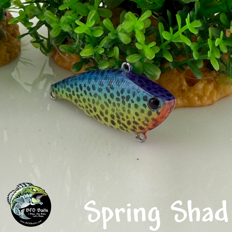 Spring Shad