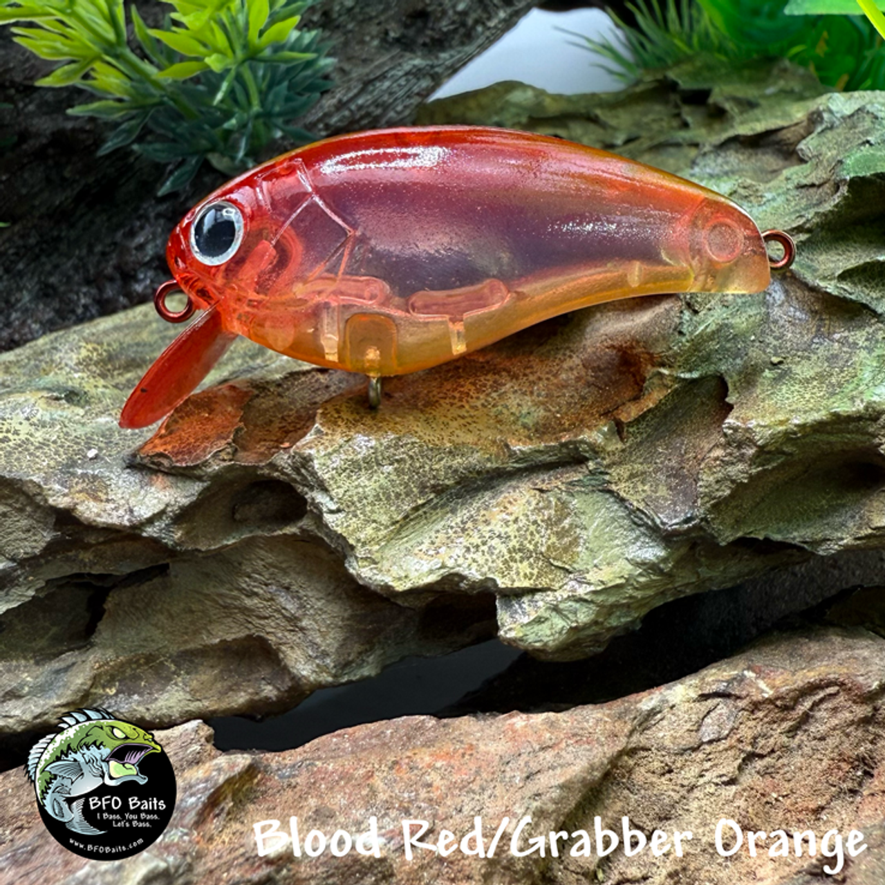 Tequila Yellow/Blood Red Tequila Yellow/Blood Red