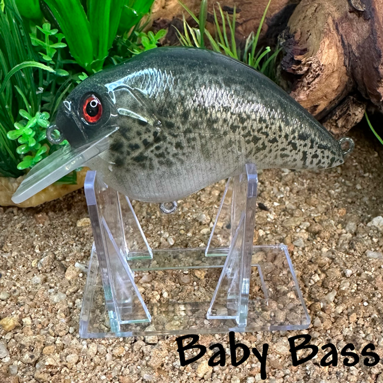 Baby Bass Baby Bass