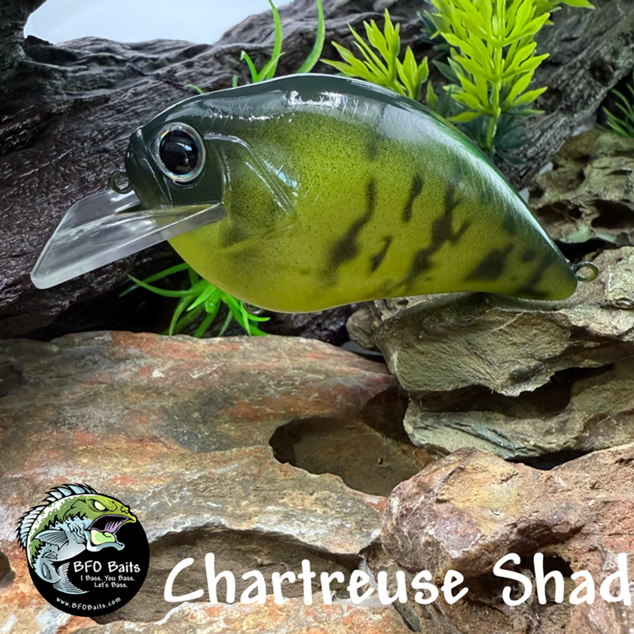 Chartreuse Shad Chartreuse Shad