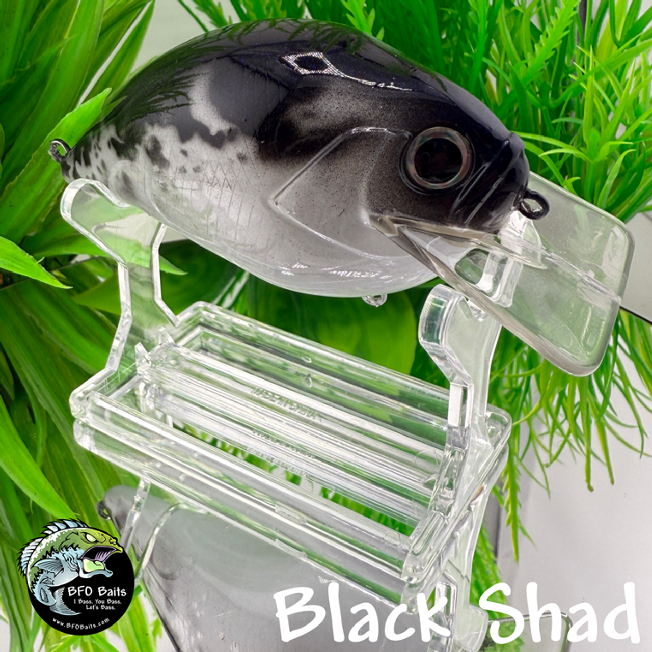Black Shad Black Shad