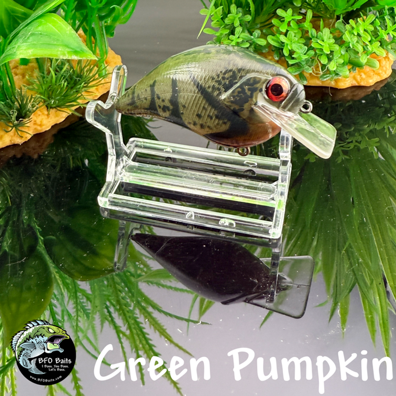 Green Pumpkin Green Pumpkin